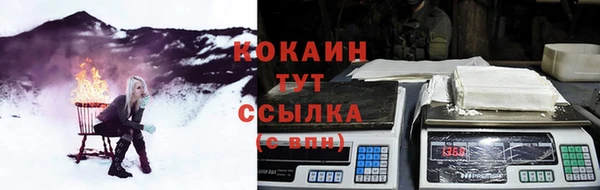 мяу мяу мука Алексеевка